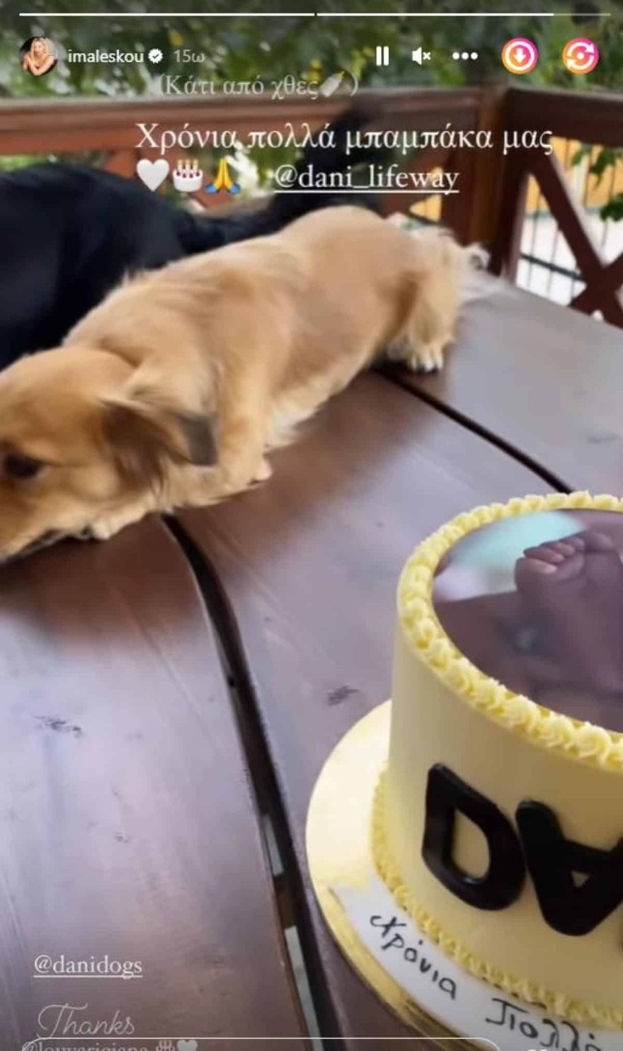 Κωνσταντίνος Δανιάς γενέθλια