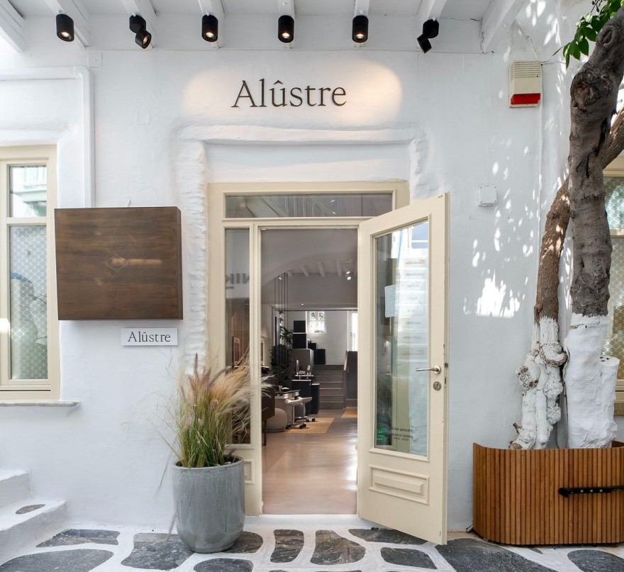 alustre store 