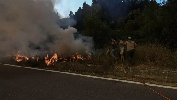 Φωτιά στην Ηλεία - Απεγκλωβίστηκε κοπάδι με πρόβατα
