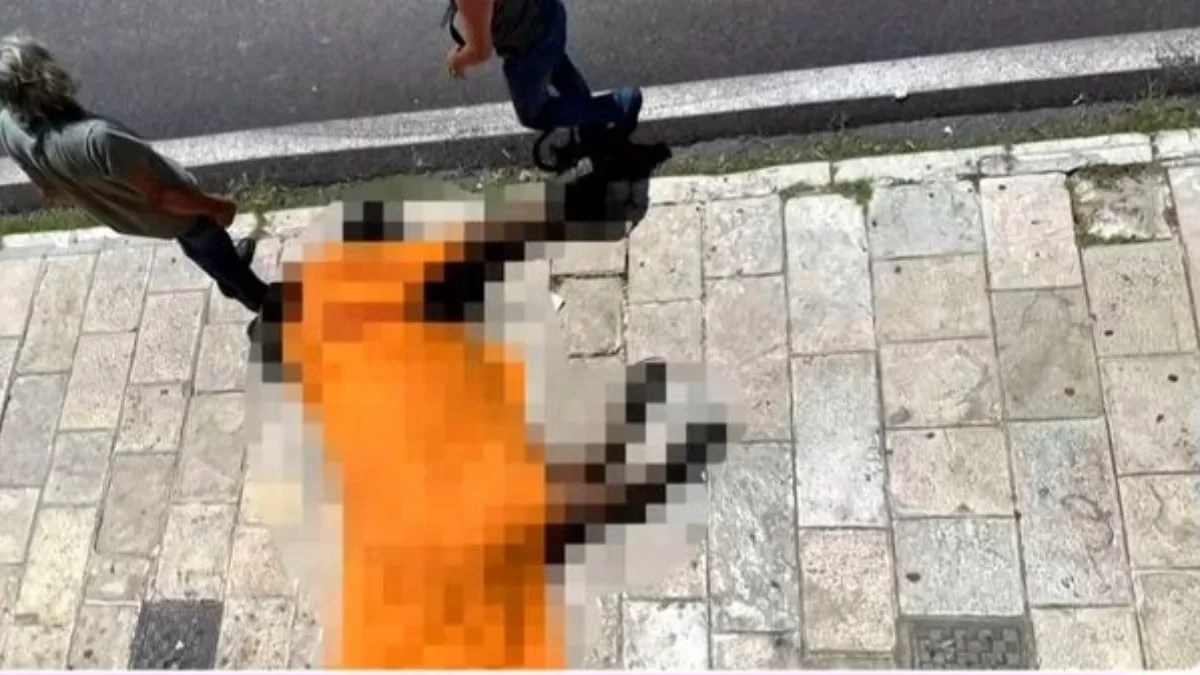 Κέρκυρα: Συνελήφθη ο Ιδιοκτήτης του αλόγου που πέθανε στη μέση του δρόμου - 5ψήφιο το διοικητικό πρόστιμο