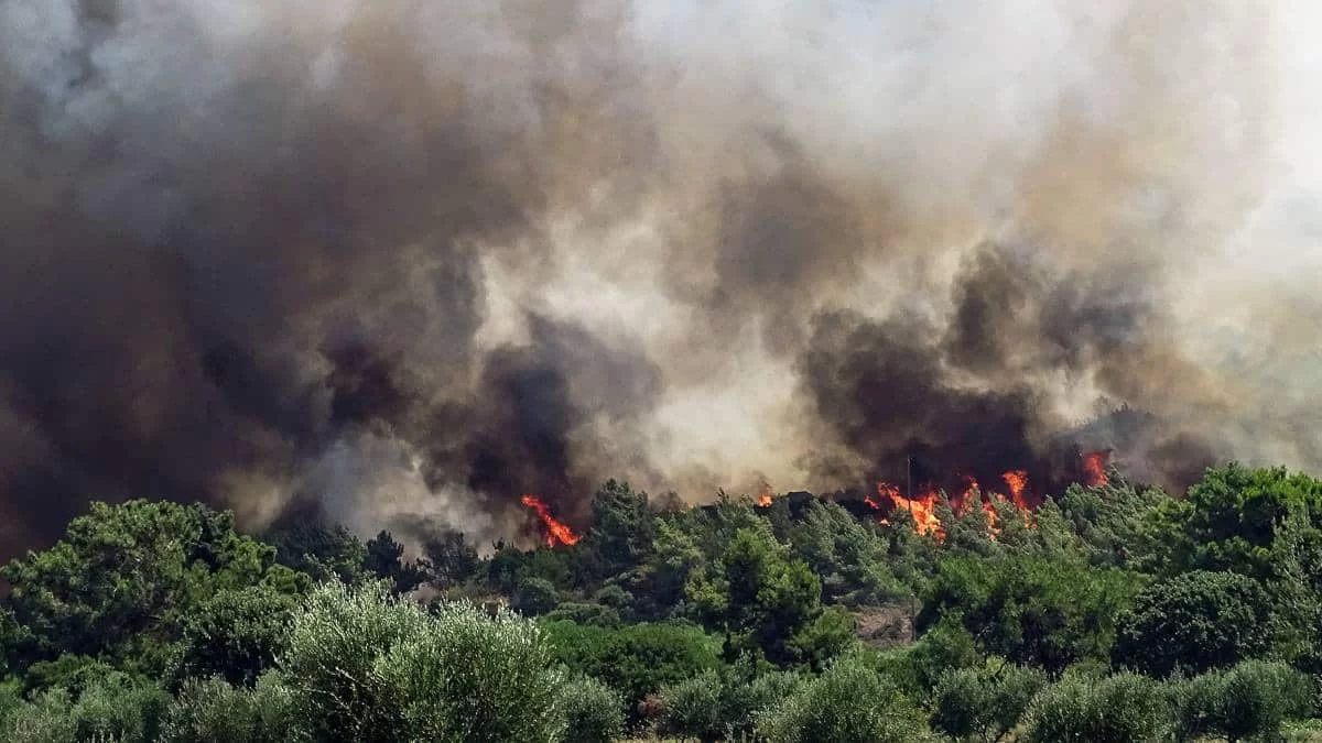 Ξέσπασε φωτιά στη Ρόδο - Πολύ δύσβατη η περιοχή