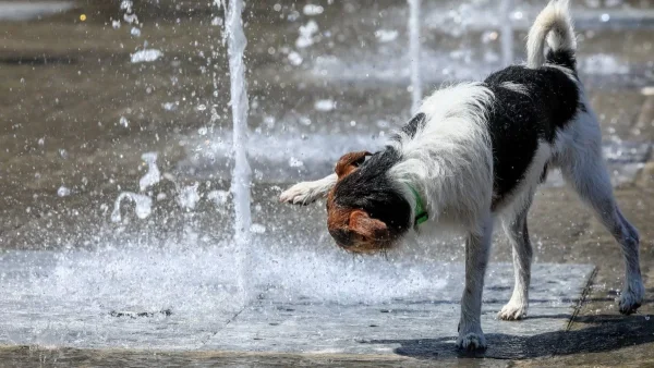 40άρια θα πιάσει ο υδράργυρος σήμερα 4/8 - Αναλυτικά ο καιρός