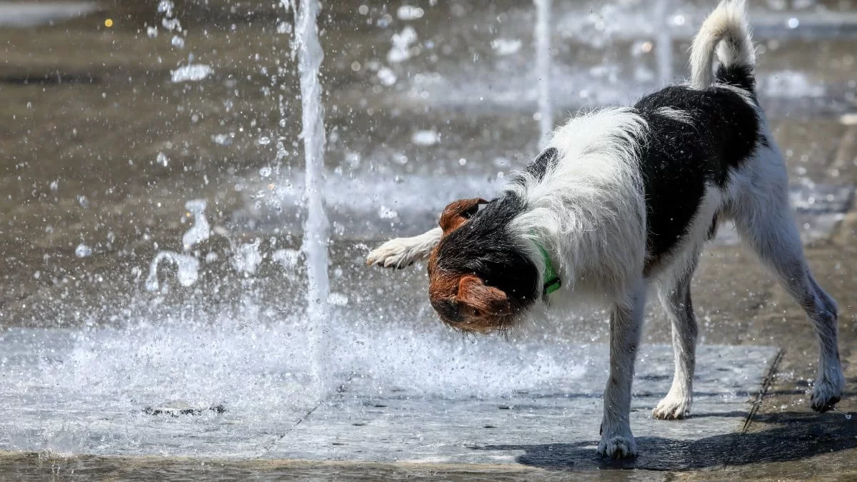 40άρια θα πιάσει ο υδράργυρος σήμερα 4/8 - Αναλυτικά ο καιρός