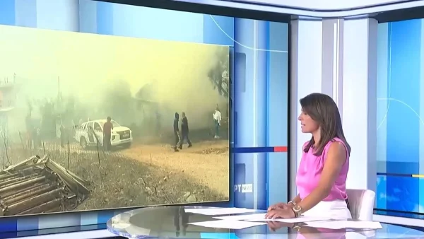 Αλεξάνδρα Δουβαρά: «Το μόνο ευτύχημα είναι ότι δεν έχουμε θρηνήσει ανθρώπινη ζωή πέρα από τους ταλαίπωρους 18 ανθρώπους στο δάσος της Δαδιάς»