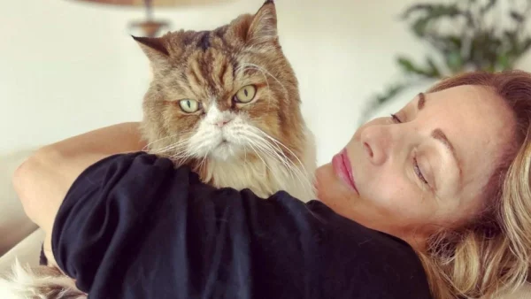 Γεμάτο με φωτογραφίες του Τόλη Βοσκόπουλου - Tο εντυπωσιακό σπίτι της Άντζελας Γκερέκου