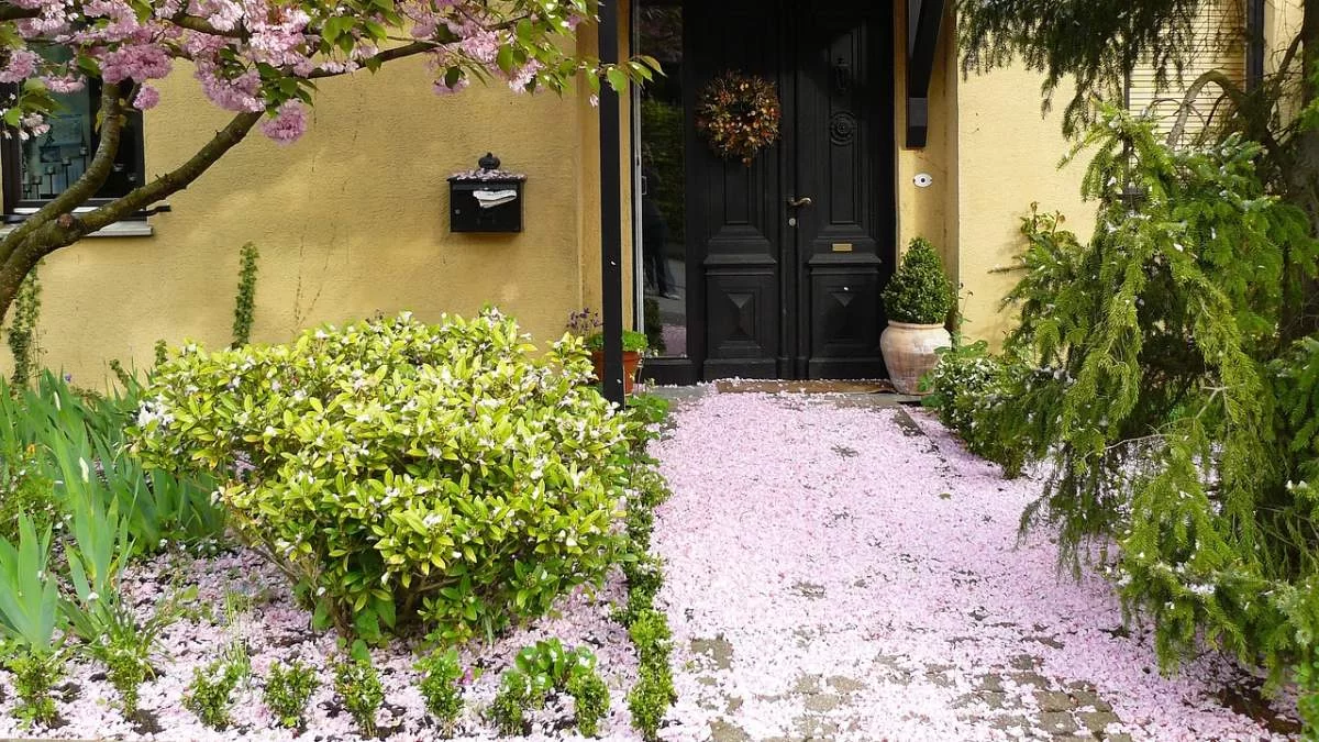 Προκαλεί ανεπάρκεια παγκρέατος, ήπατος, νεφρών και... - Το φυτό που πρέπει να κρατάς σε απόσταση