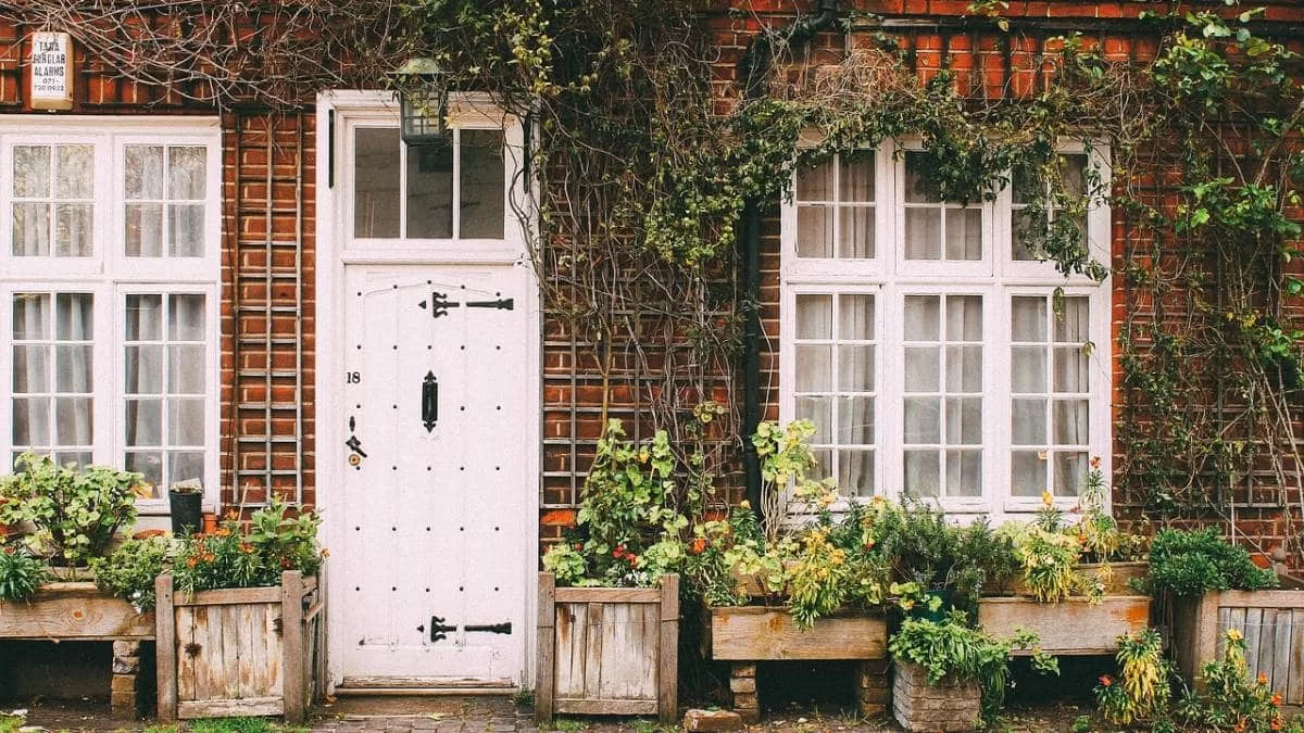 To βλέπουμε συχνά σε κήπους αλλά μπορεί να προκαλέσει μέχρι και καρδιακή ανεπάρκεια - Το φυτό που πρέπει όλοι να προσέχετε