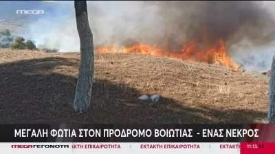 Φωτιά στη Βοιωτία: Ένας νεκρός