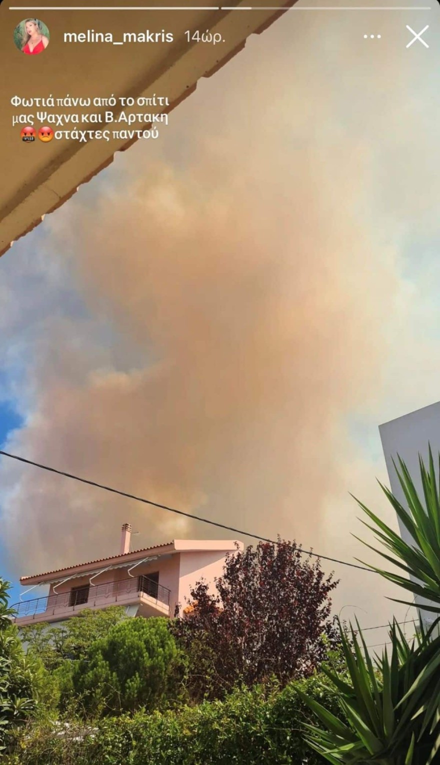 Μελίνα Μακρή φωτιά