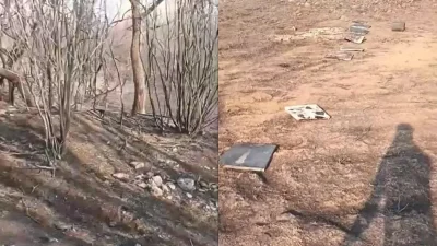 Φωτιά στον Έβρο: «Κοριτσάκια μου γλυκιά, ο πιο σκληρός θάνατος σας βρήκε» - Σπαραγμός με τους λυγμούς του μελισσοκόμου μπροστά στην περιουσία του που έγινε στάχτη