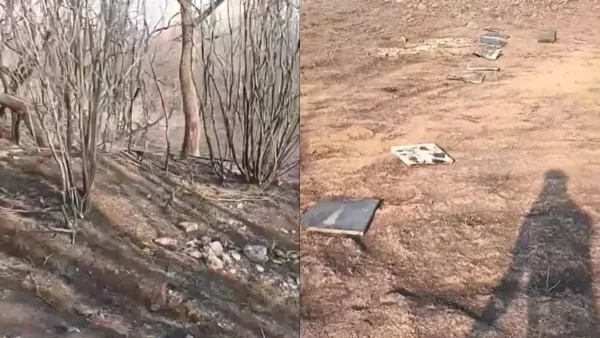 Φωτιά στον Έβρο: «Κοριτσάκια μου γλυκιά, ο πιο σκληρός θάνατος σας βρήκε» - Σπαραγμός με τους λυγμούς του μελισσοκόμου μπροστά στην περιουσία του που έγινε στάχτη