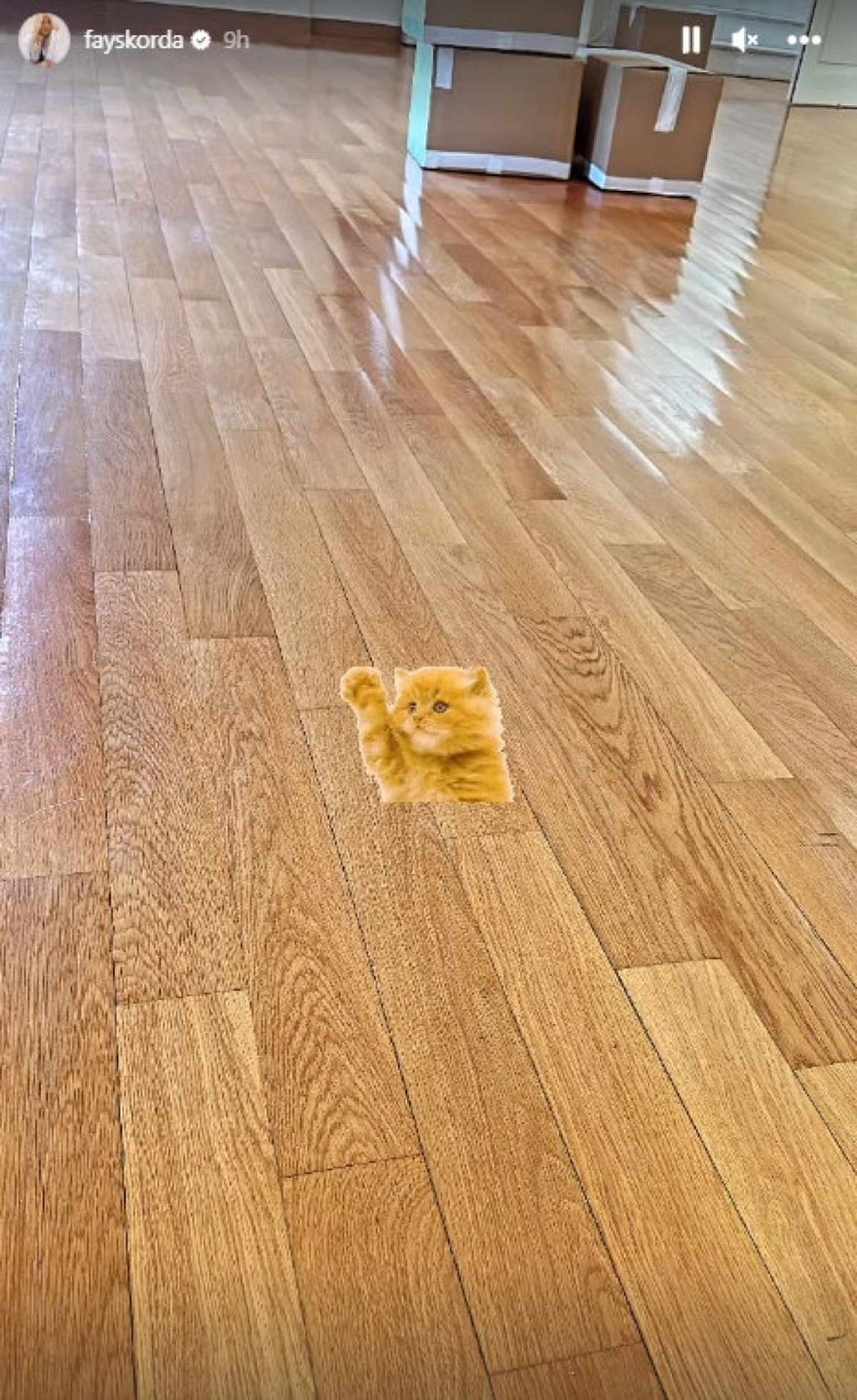 Φαίη Σκορδά μετακόμιση