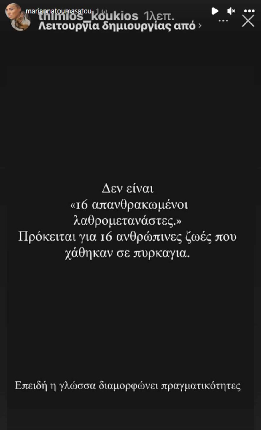 Μαριάννα Τουμασάτου φωτιά στον Έβρο