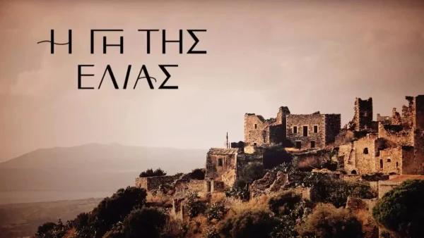 Γη της Ελιάς: Η ανακοίνωση που όλοι περίμεναν - Έγινε γνωστό πως...