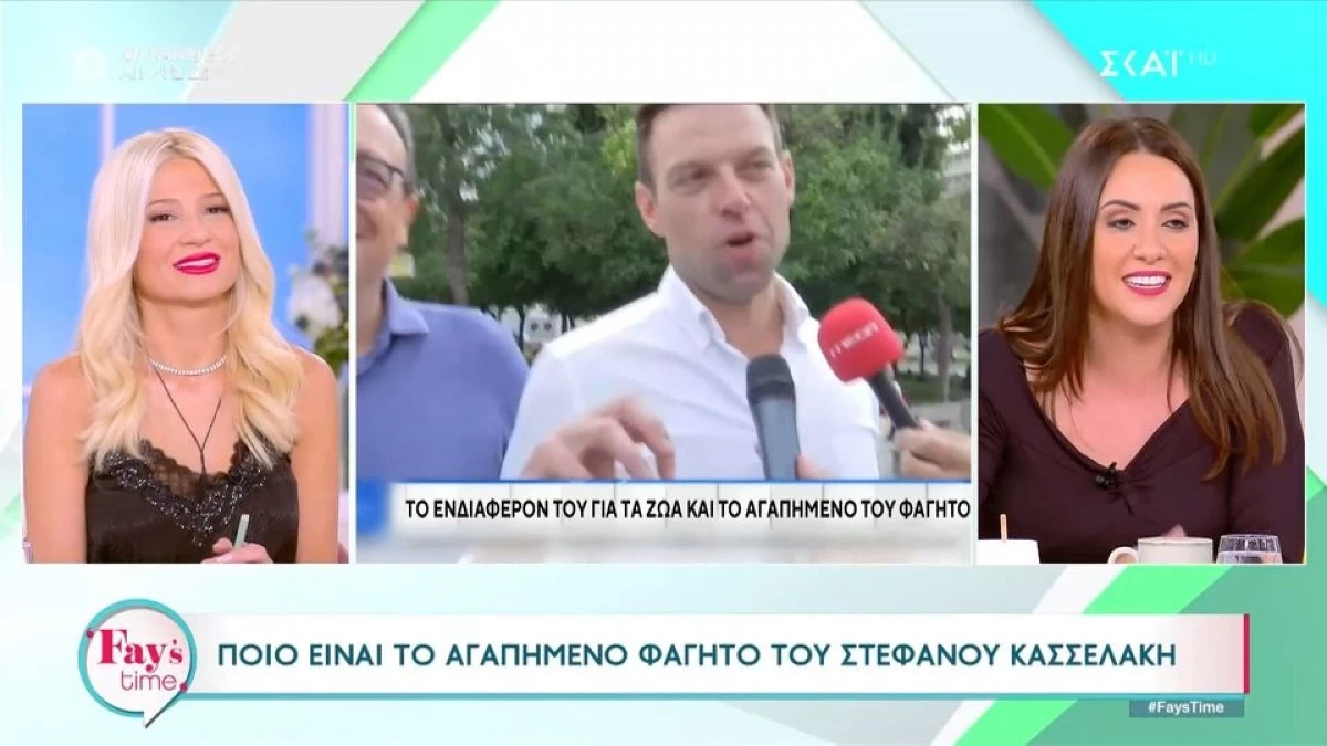 «Ούτε η Ελένη Μενεγάκη τέτοια...» - ''Πάγωσαν'' στον αέρα του ΣΚΑΪ με την ατάκα της Σκορδά για το Στέφανο Κασσελάκη
