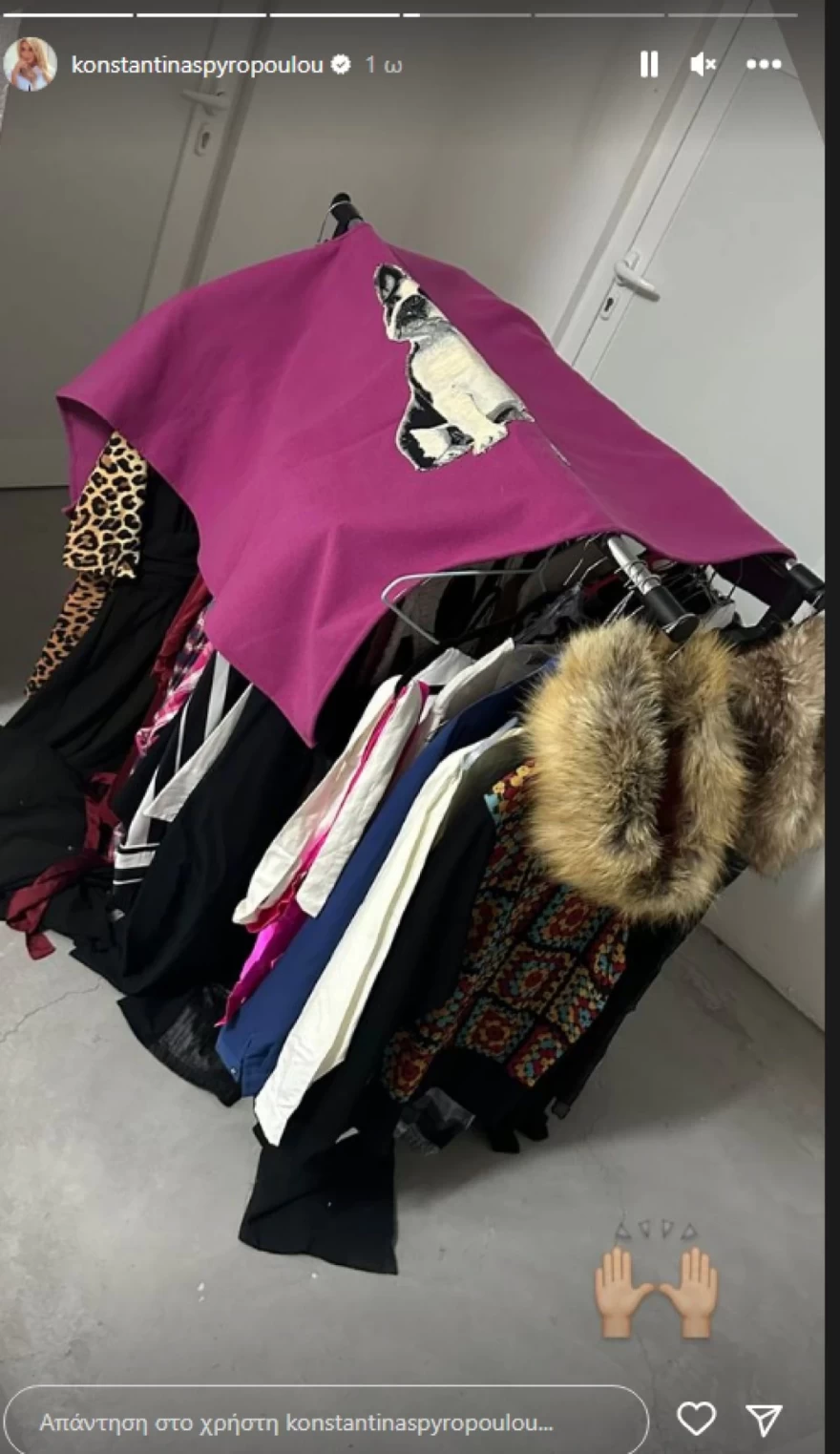 Κωνσταντίνα Σπυροπούλου - Δωρεά