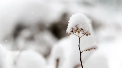 Νωχελικός ο Οκτώβρης, που θα "ντυθουν" στα λευκά: Τα μερομήνια μέχρι και τον Δεκέμβρη του 2023