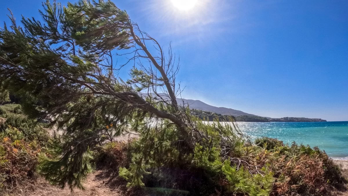 Αίθριος καιρός σήμερα 2/9 με άνοδο της θερμοκρασίας - Τι θα συμβεί σε Αιγαίο και Δωδεκάνησα