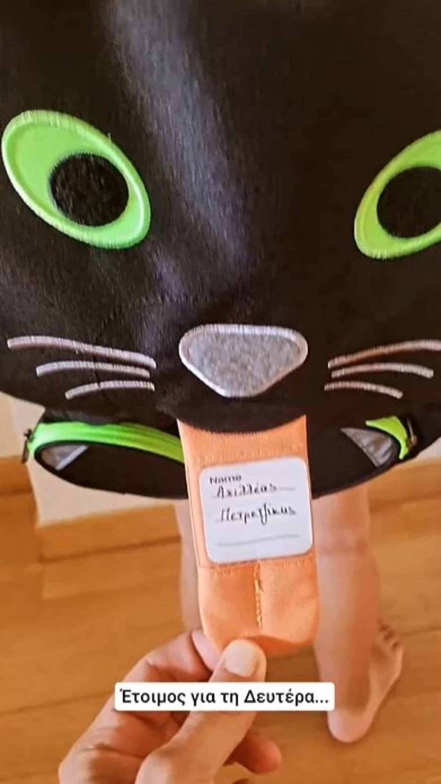 Άκης Πετρετζίκης γιος