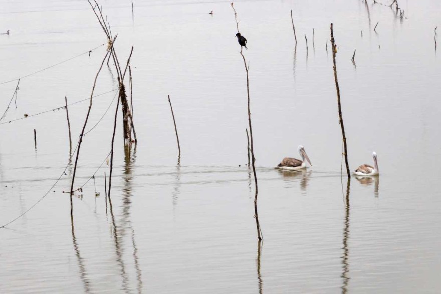 Θεσσαλονίκη