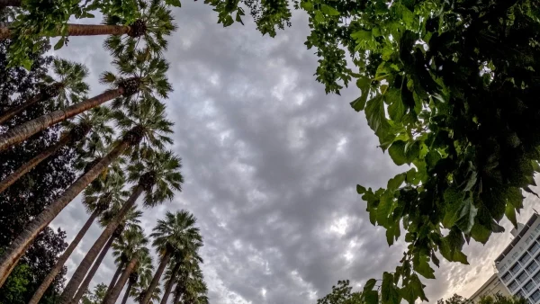 Κυριακή με βροχές - Η θερμοκρασία θα σημειώσει μικρή πτώση σήμερα 29/10