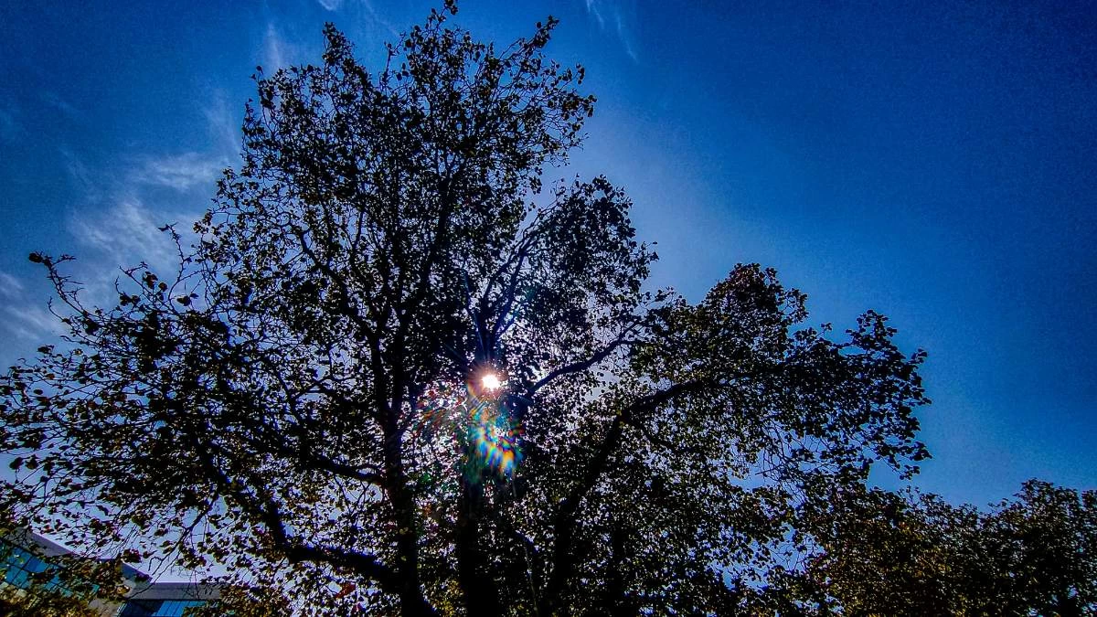 Σχεδόν αίθριος καιρός σήμερα 30/10 - Που θα φτάσει η θερμοκρασία