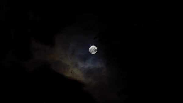 Επικίδυνη ημέρα με δοκιμασίες και ατυχήματα - Ποια ζώδια πρέπει να προσέξουν σύμφωνα με τον Λεφάκη