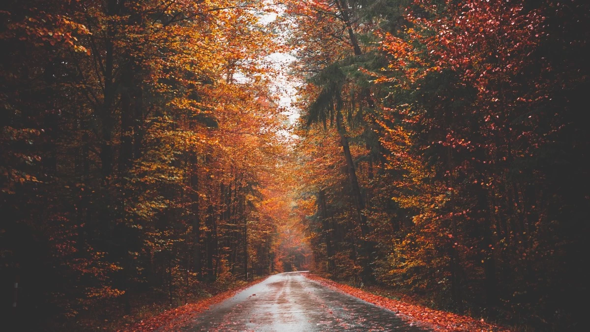 Παροδικές νεφώσεις και βροχές σήμερα 3/10 σε όλη τη χώρα