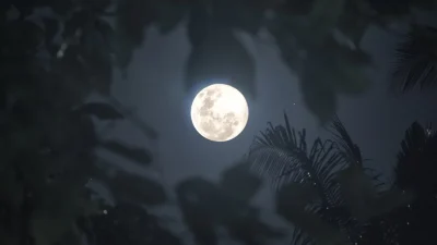 Πανσέληνος στον Ταύρο: Πρέπει να προσέχουν οι Σκορπιοί κι άλλα 3 ζώδια