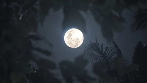 Πανσέληνος στον Ταύρο: Πρέπει να προσέχουν οι Σκορπιοί κι άλλα 3 ζώδια