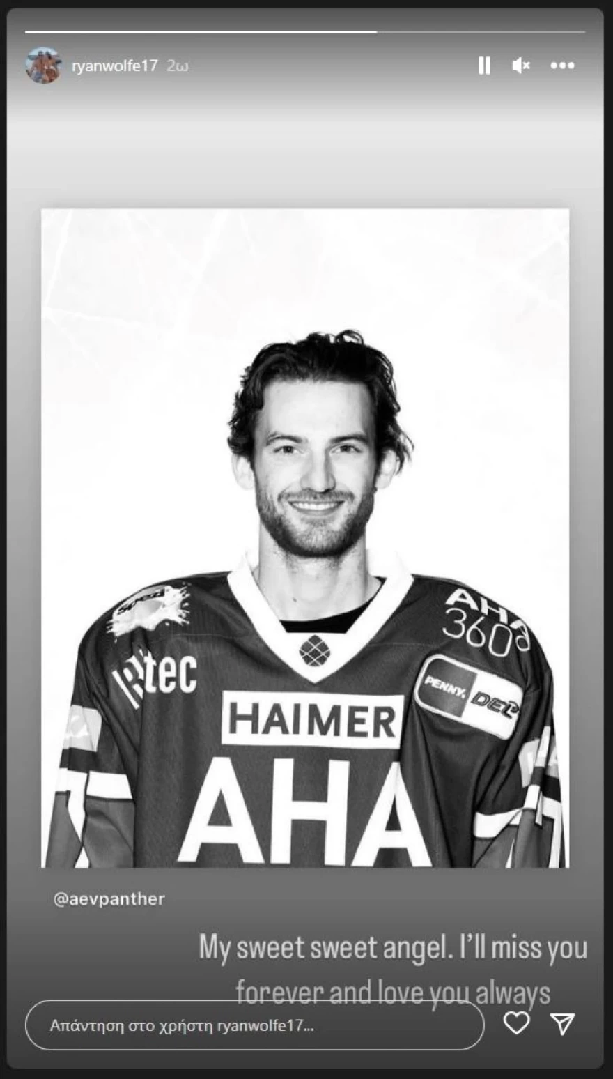 παίκτης χόκεϊ θάνατος