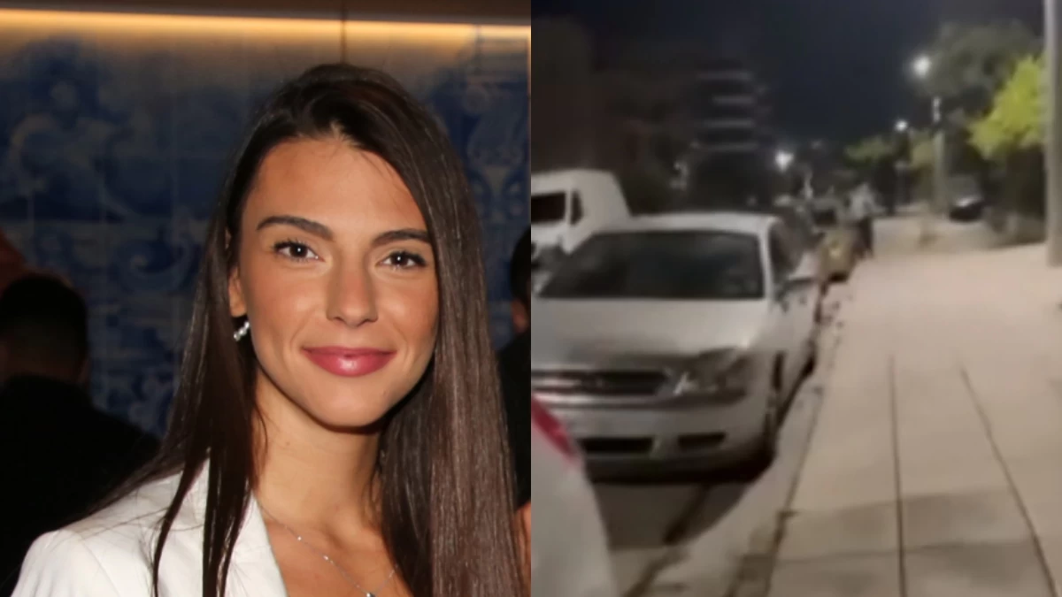 Ούρλιαζε με μανία κυνηγώντας τους διαρρήκτες - Σοκαριστικό βίντεο ντοκουμένο από τη ληστεία στο σπίτι της Άσπας Πρεδάρη