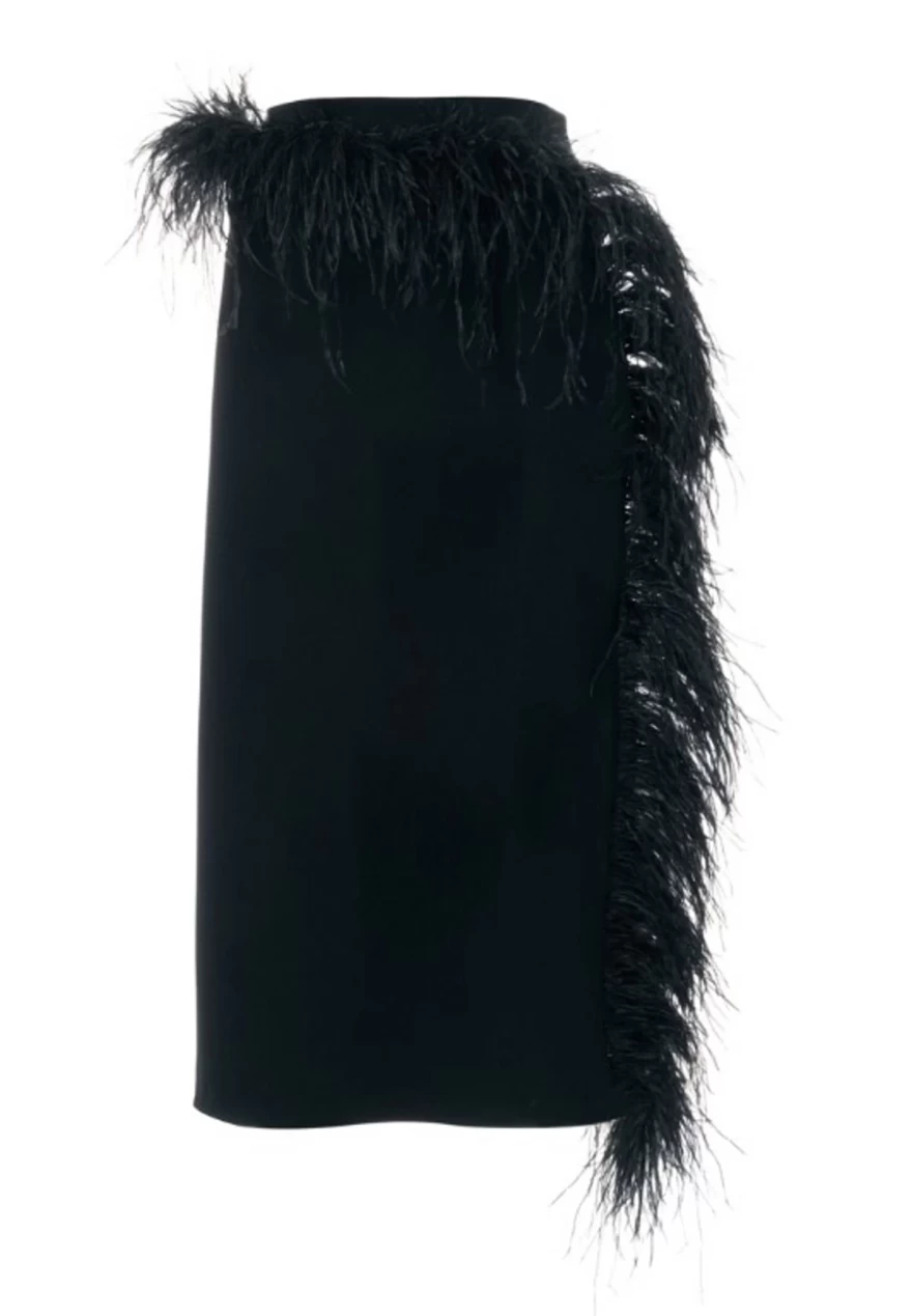 φούστα φτερά