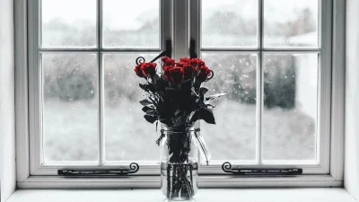 Τώρα που χαλάει ο καιρός: 4 όμορφα φυτά που αντέχουν σε βροχή και κρύο για κήπο ή μπαλκόνι