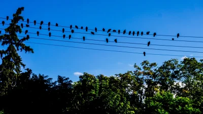 Καιρός 20/11: Με παγωνιά ξεκινάει η εβδομάδα - Που θα φτάσει η θερμοκρασία;