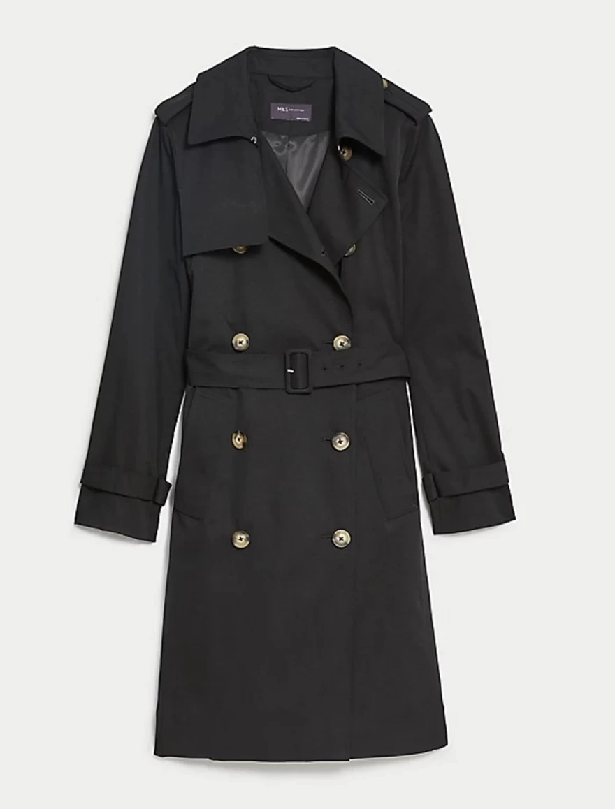 καμπαρντίνα