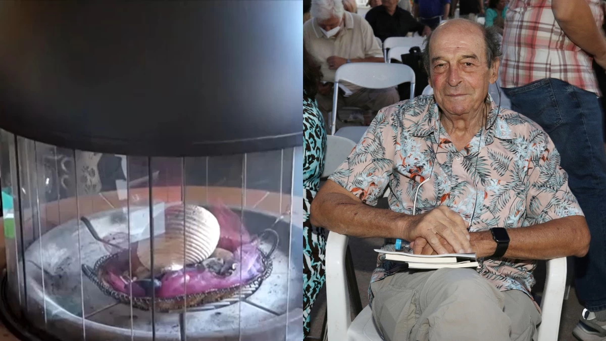 Δίπλα στο κύμα, με τζάκι και βιβλιοθήκη "λαβύρινθο" - Η επιβλητική μονοκατοικία του Μανούσου Μανουσάκη στο Πόρτο Ράφτη