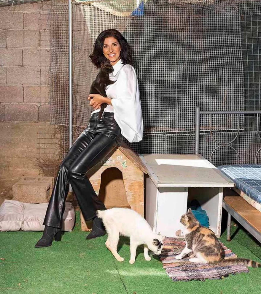 Ευτυχία Μελή γάτες