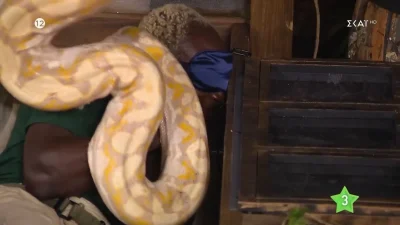  I’m a Celebrity Get Me Out of Here 22/11: «Τι είναι αυτό ρε;» -  Χαμός με τον Πάτρικ και το φίδι