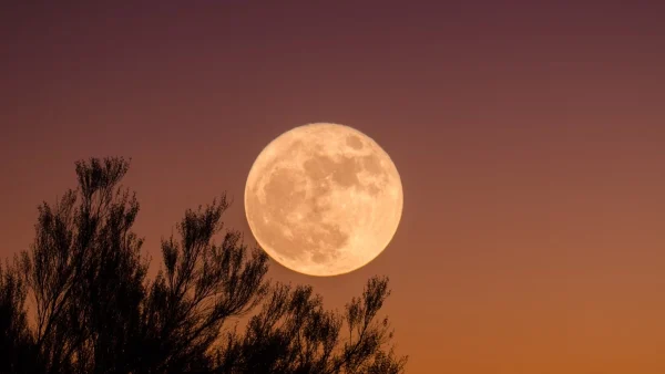 Magic Fariel: «Η εβδομάδα ξεκινάει με τη Νέα Σελήνη στον Σκορπιό...» - Τα 4 ζώδια που επηρεάζονται