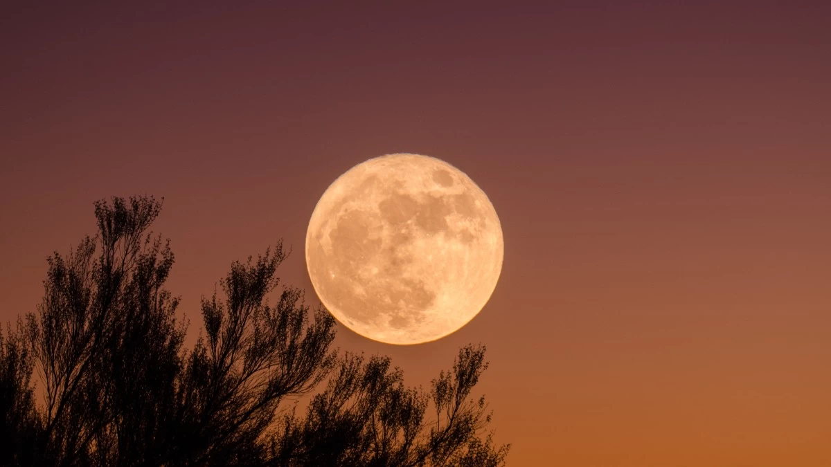 Magic Fariel: «Η εβδομάδα ξεκινάει με τη Νέα Σελήνη στον Σκορπιό...» - Τα 4 ζώδια που επηρεάζονται