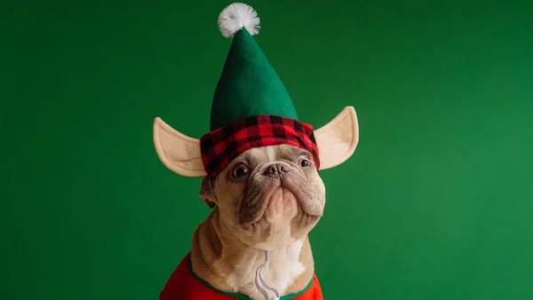 «Μέχρι τις 04/01/2024...» - Γι' αυτά τα ζώδια το νέο έτος φέρνει τα πάνω κάτω