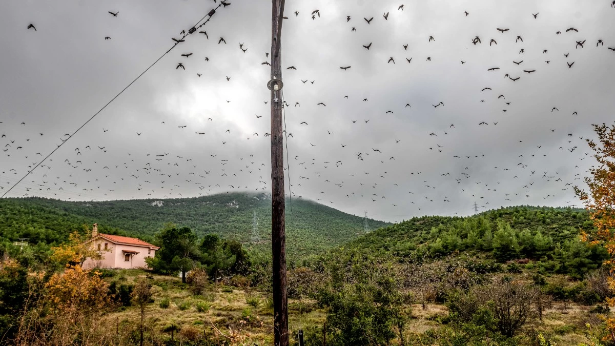 Μικρή άνοδος της θερμοκρασία και τοπικές βροχές - Ο καιρός σήμερα 12/12