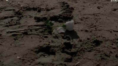 Οι Πανθέοι (21/12): «Μην με ξαναπλησιάσεις» - Οριστικό το τέλος Μάρμως και Κίτσου;