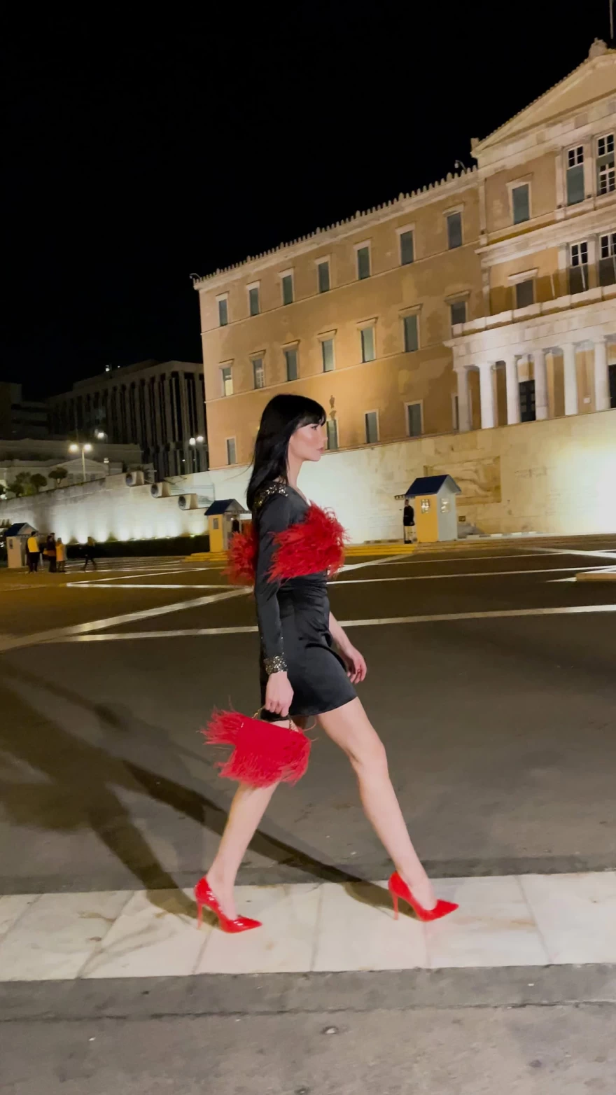 κόκκινα φτερά