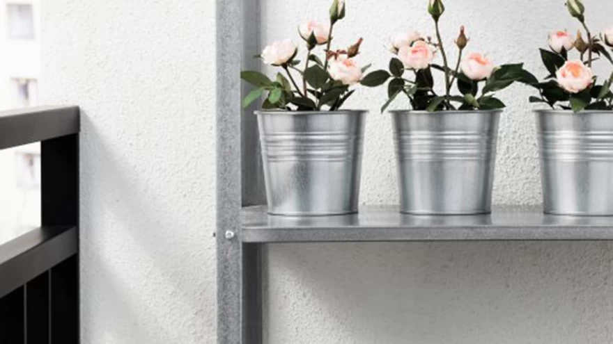 γλαστράκια