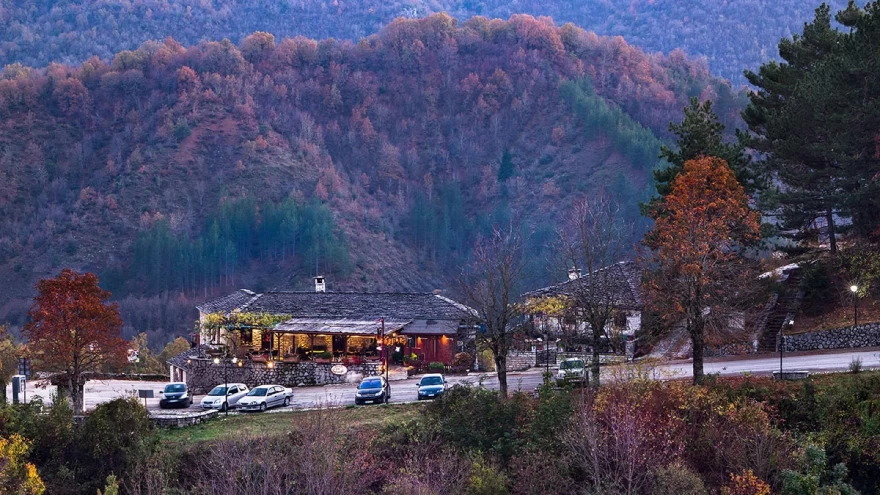 Κανέλα & Γαρύφαλλο: Με μενού αφιερωμένο στα μανιτάρια