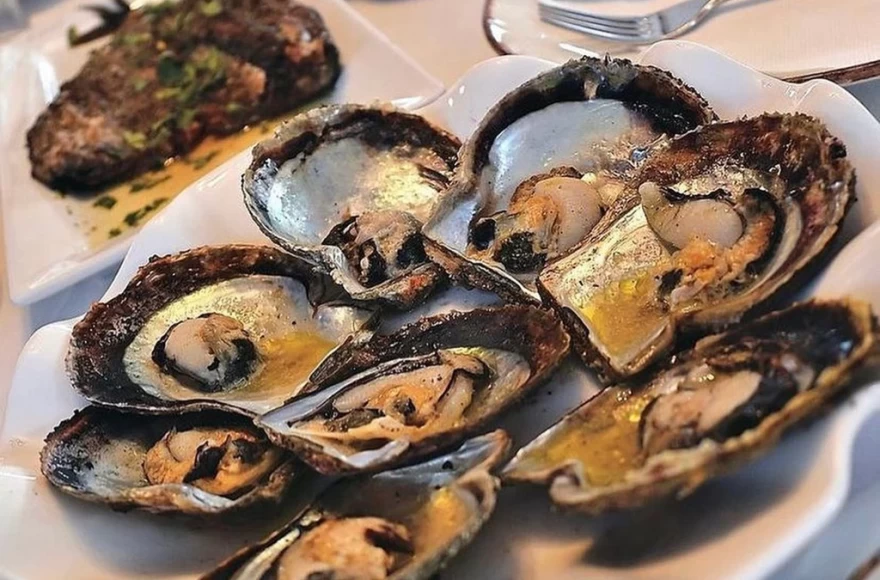 καπετάνιος μύδια