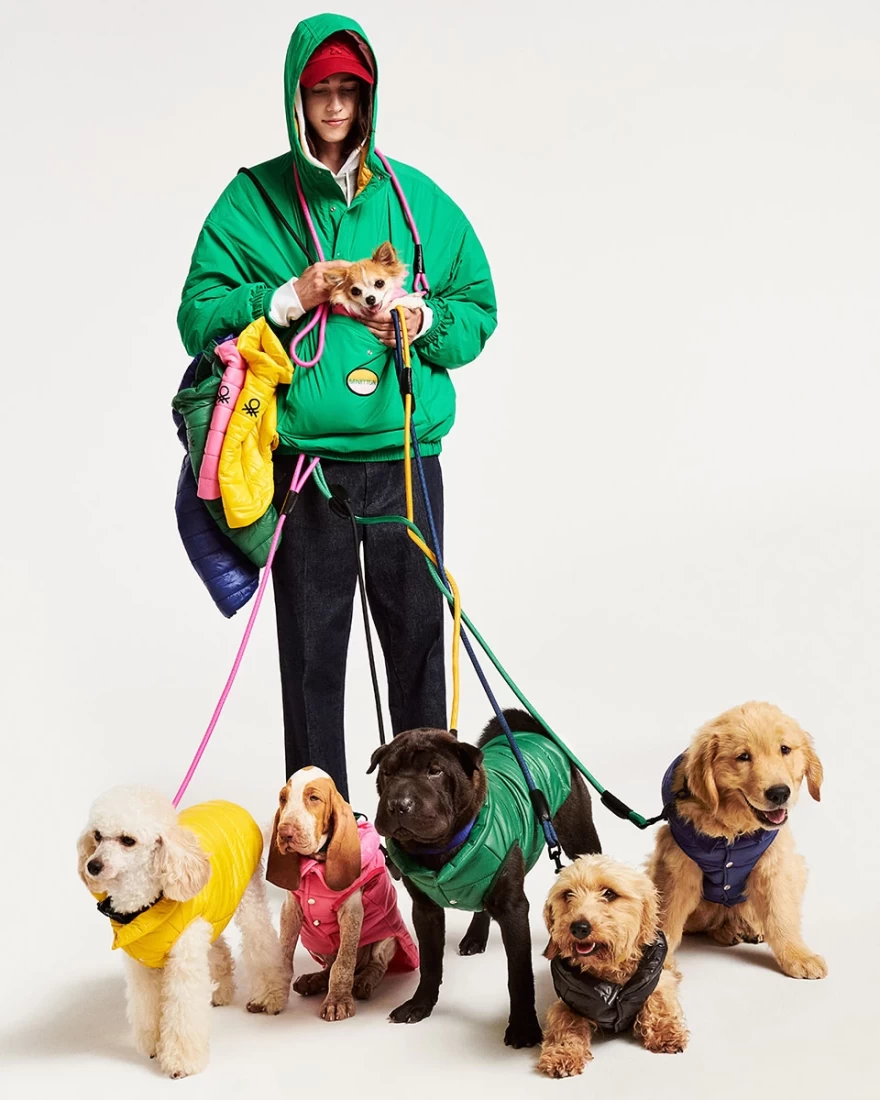 σκυλιά με ρούχα