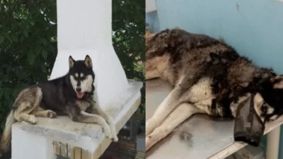 Δεν είναι μόνο η κακοποίηση στην Αράχωβα: 5 εγκλήματα που συγκλόνισαν το πανελλήνιο